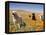 Four Labrador Retrievers Standing in a Field of Poppies at Antelope Valley in California, USA-Zandria Muench Beraldo-Framed Premier Image Canvas