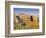 Four Labrador Retrievers Standing in a Field of Poppies at Antelope Valley in California, USA-Zandria Muench Beraldo-Framed Photographic Print