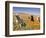 Four Labrador Retrievers Standing in a Field of Poppies at Antelope Valley in California, USA-Zandria Muench Beraldo-Framed Photographic Print