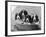 Four Large Puppies Crowded in a Basket. Owner: Browne-Thomas Fall-Framed Photographic Print