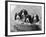 Four Large Puppies Crowded in a Basket. Owner: Browne-Thomas Fall-Framed Photographic Print