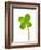 Four-leaf Clover-David Nunuk-Framed Photographic Print