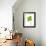 Four-leaf Clover-David Nunuk-Framed Photographic Print displayed on a wall