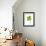 Four-leaf Clover-David Nunuk-Framed Photographic Print displayed on a wall