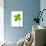 Four-leaf Clover-David Nunuk-Photographic Print displayed on a wall