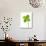 Four-leaf Clover-David Nunuk-Photographic Print displayed on a wall