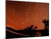 Premium Photographic Print