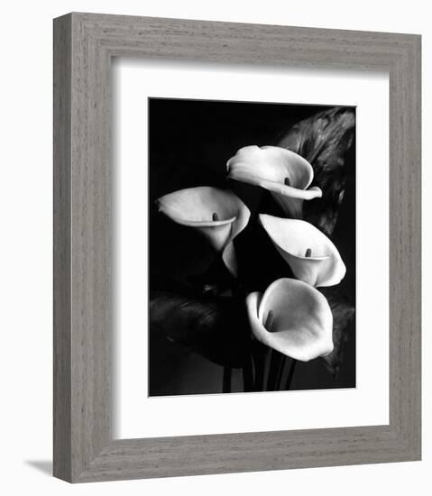 Four Lilies-null-Framed Premium Giclee Print