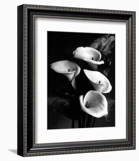 Four Lilies-null-Framed Premium Giclee Print