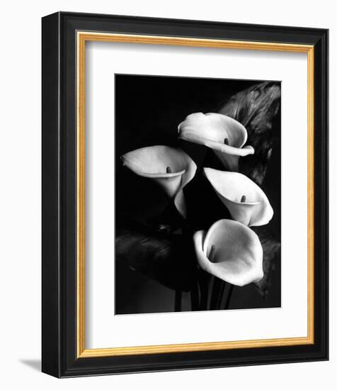 Four Lilies-null-Framed Premium Giclee Print