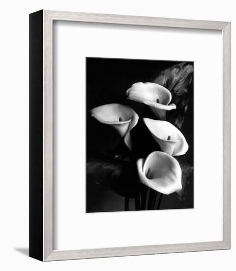 Four Lilies-null-Framed Premium Giclee Print