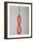 Four Mettwurst (Cured, Smoked Pork Sausages) on a Hook-Niklas Thiemann-Framed Photographic Print