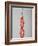 Four Mettwurst (Cured, Smoked Pork Sausages) on a Hook-Niklas Thiemann-Framed Photographic Print