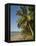 Four Mile Beach with Coconut Palm Trees, Port Douglas, Queensland, Australia, Pacific-Nick Servian-Framed Premier Image Canvas