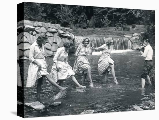 Stretched Canvas Print, , large