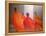 Four Monks on Temple Steps-Lincoln Seligman-Framed Premier Image Canvas