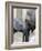Four Month Old Elephant and Her Mother are Pictured in Hagenbeck's Zoo in Hamburg, Northern Germany-null-Framed Photographic Print
