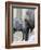 Four Month Old Elephant and Her Mother are Pictured in Hagenbeck's Zoo in Hamburg, Northern Germany-null-Framed Photographic Print