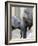 Four Month Old Elephant and Her Mother are Pictured in Hagenbeck's Zoo in Hamburg, Northern Germany-null-Framed Photographic Print