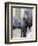 Four Month Old Elephant and Her Mother are Pictured in Hagenbeck's Zoo in Hamburg, Northern Germany-null-Framed Photographic Print