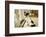 Four month old Fox Terrier Hound mixed breed puppy waiting at the door to go outside.-Janet Horton-Framed Photographic Print