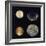 Four Moons of Jupiter, Io, Europa, Ganymede and Callisto, 1979-null-Framed Giclee Print