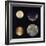 Four Moons of Jupiter, Io, Europa, Ganymede and Callisto, 1979-null-Framed Giclee Print