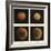 Four Moons of Jupiter. Io, Europa, Ganymede and Callisto, 1979-null-Framed Giclee Print