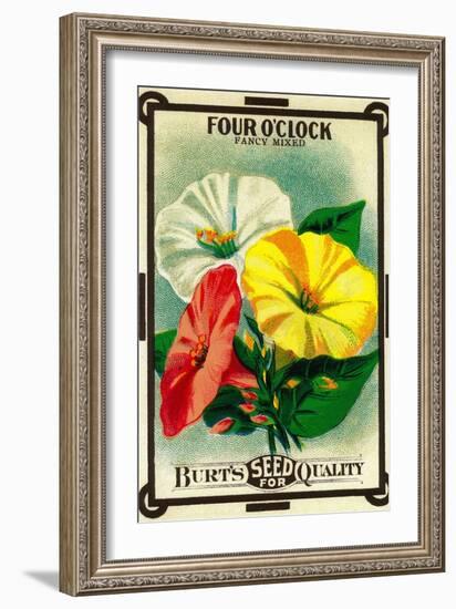 Four O'Clock Seed Packet-Lantern Press-Framed Art Print