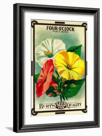 Four O'Clock Seed Packet-Lantern Press-Framed Art Print