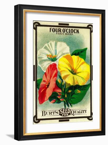 Four O'Clock Seed Packet-Lantern Press-Framed Art Print