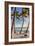 Four Palm Hammock-Robert Goldwitz-Framed Photographic Print