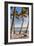 Four Palm Hammock-Robert Goldwitz-Framed Photographic Print