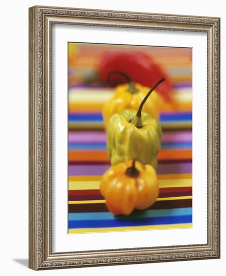 Four Peppers-Debi Treloar-Framed Photographic Print