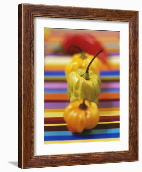 Four Peppers-Debi Treloar-Framed Photographic Print