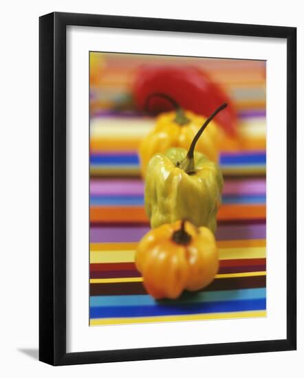 Four Peppers-Debi Treloar-Framed Photographic Print