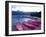 Four Pink Boats, Canadian Rockies ‘06-Monte Nagler-Framed Photographic Print