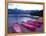 Four Pink Boats, Canadian Rockies ‘06-Monte Nagler-Framed Premier Image Canvas