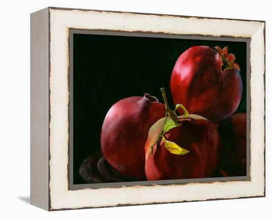 Four Pomegranates-Terri Hill-Framed Premier Image Canvas