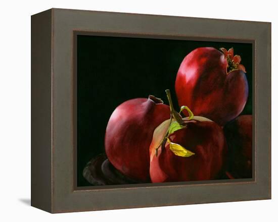 Four Pomegranates-Terri Hill-Framed Premier Image Canvas