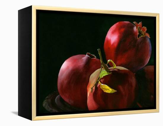 Four Pomegranates-Terri Hill-Framed Premier Image Canvas