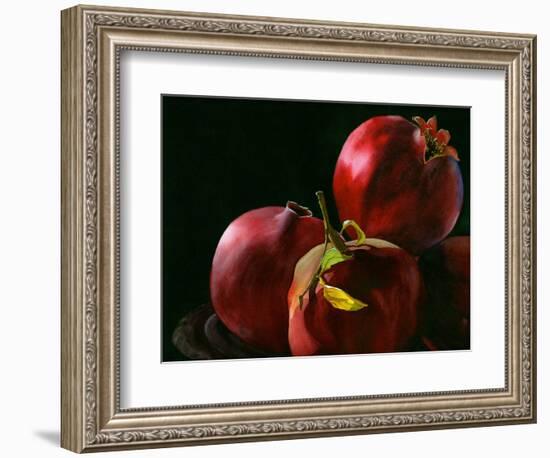 Four Pomegranates-Terri Hill-Framed Giclee Print