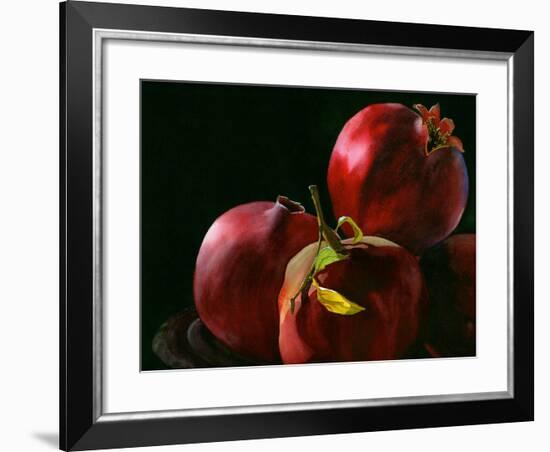 Four Pomegranates-Terri Hill-Framed Premium Giclee Print