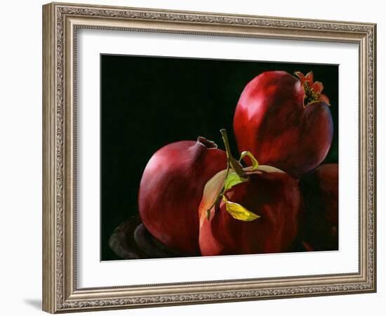 Four Pomegranates-Terri Hill-Framed Giclee Print