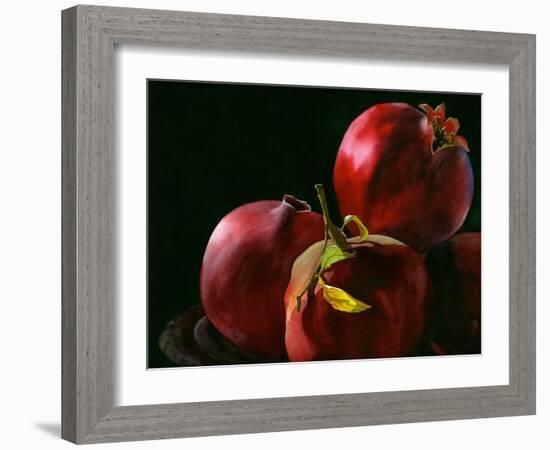 Four Pomegranates-Terri Hill-Framed Giclee Print