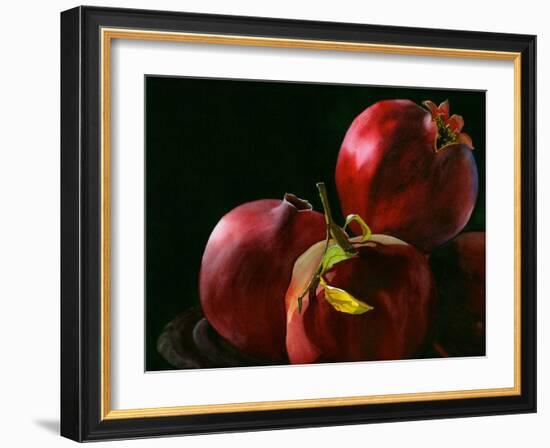 Four Pomegranates-Terri Hill-Framed Giclee Print