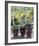 Four Pots of Auriculas-J Morley-Framed Art Print