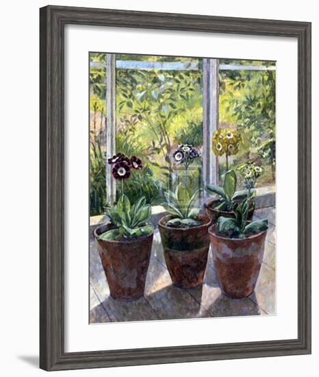 Four Pots of Auriculas-J Morley-Framed Art Print