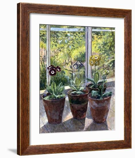 Four Pots of Auriculas-J Morley-Framed Art Print