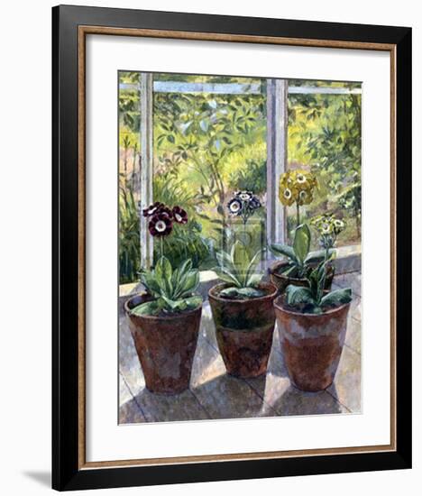 Four Pots of Auriculas-J Morley-Framed Art Print